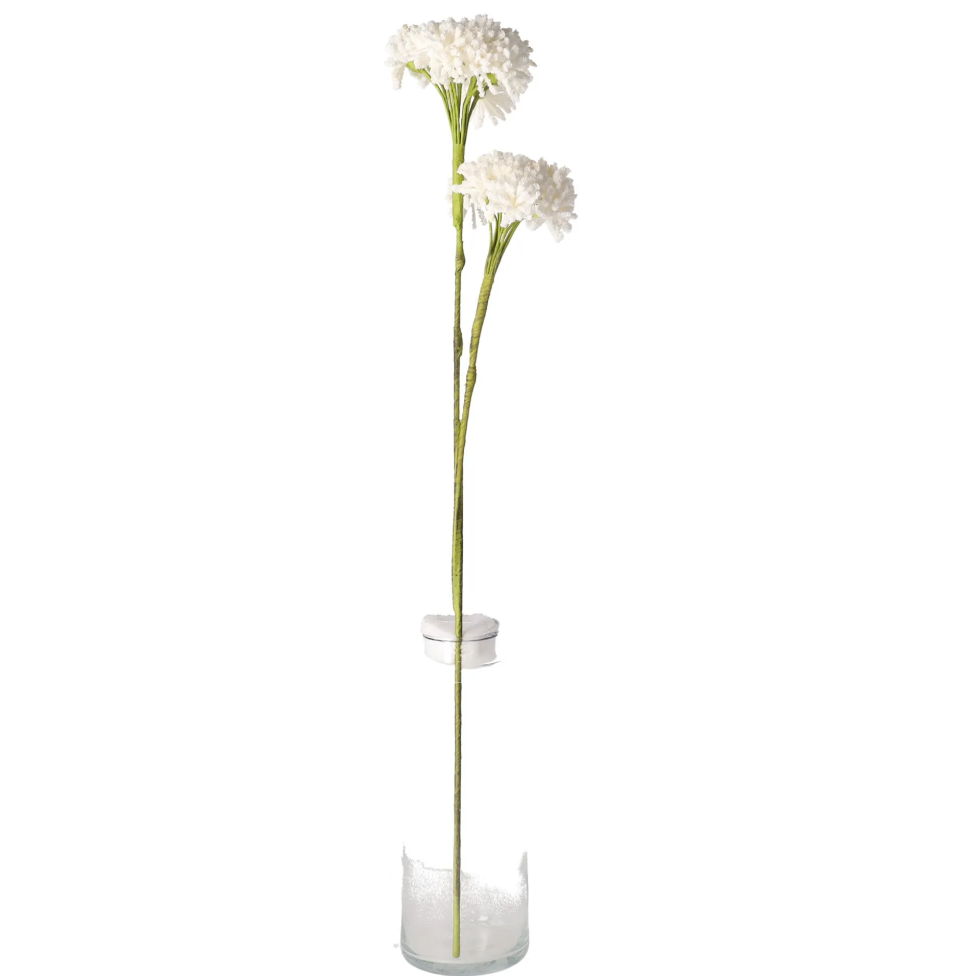 Tak klauw wit 87 cm