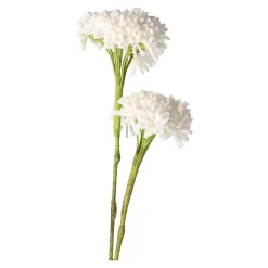 Tak klauw wit 87 cm