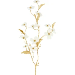 Tak kornoelje wit 87 cm