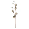 Tak Magnolia 89cm winter lux champagne