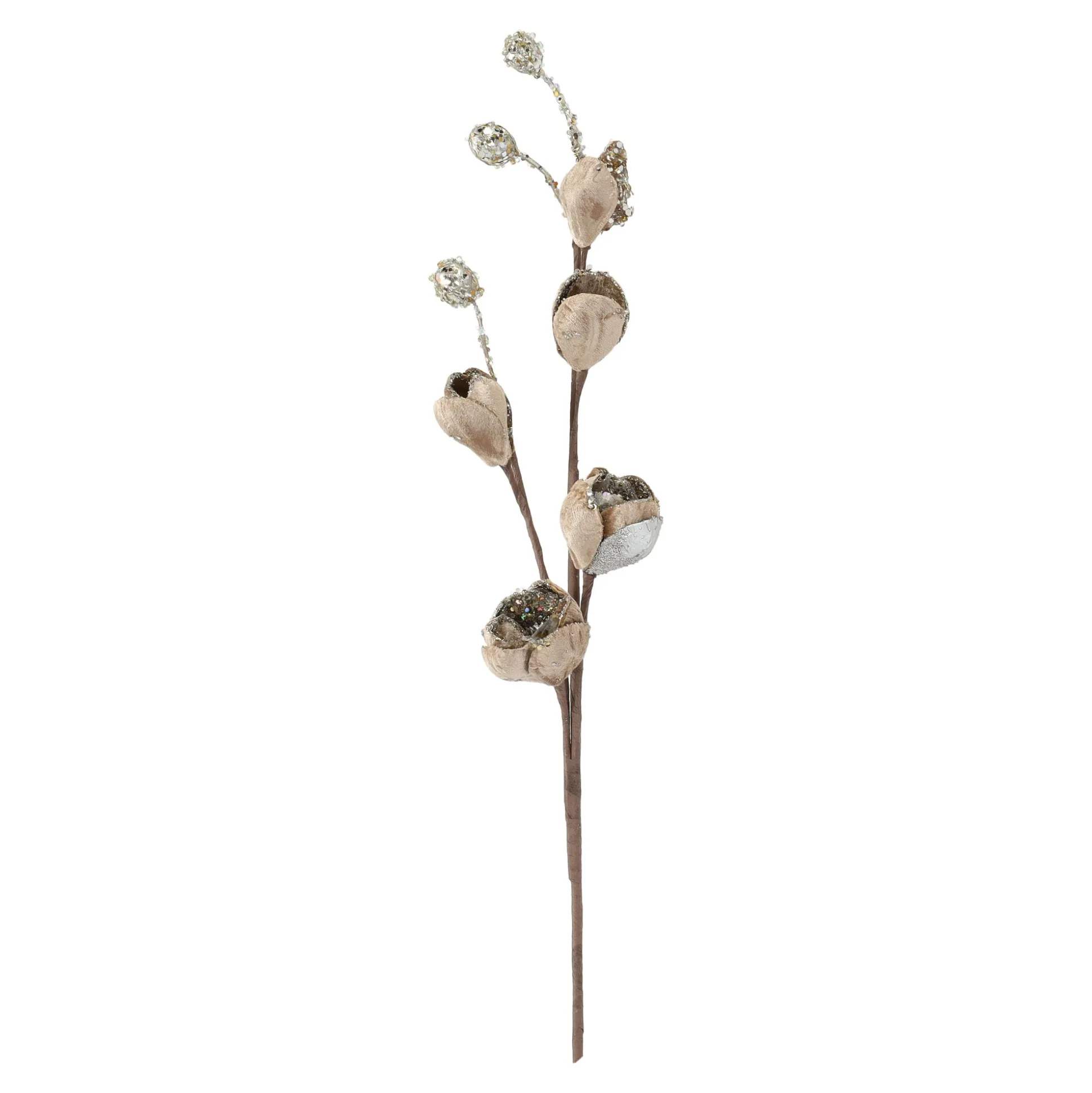Tak Magnolia 89cm winter lux champagne