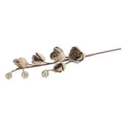 Tak Magnolia 89cm winter lux champagne