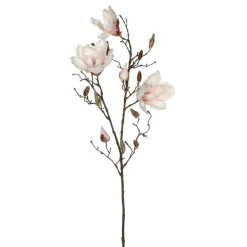 Tak Magnolia lichtroze 88 cm