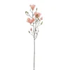 Tak Magnolia perzik 88 cm