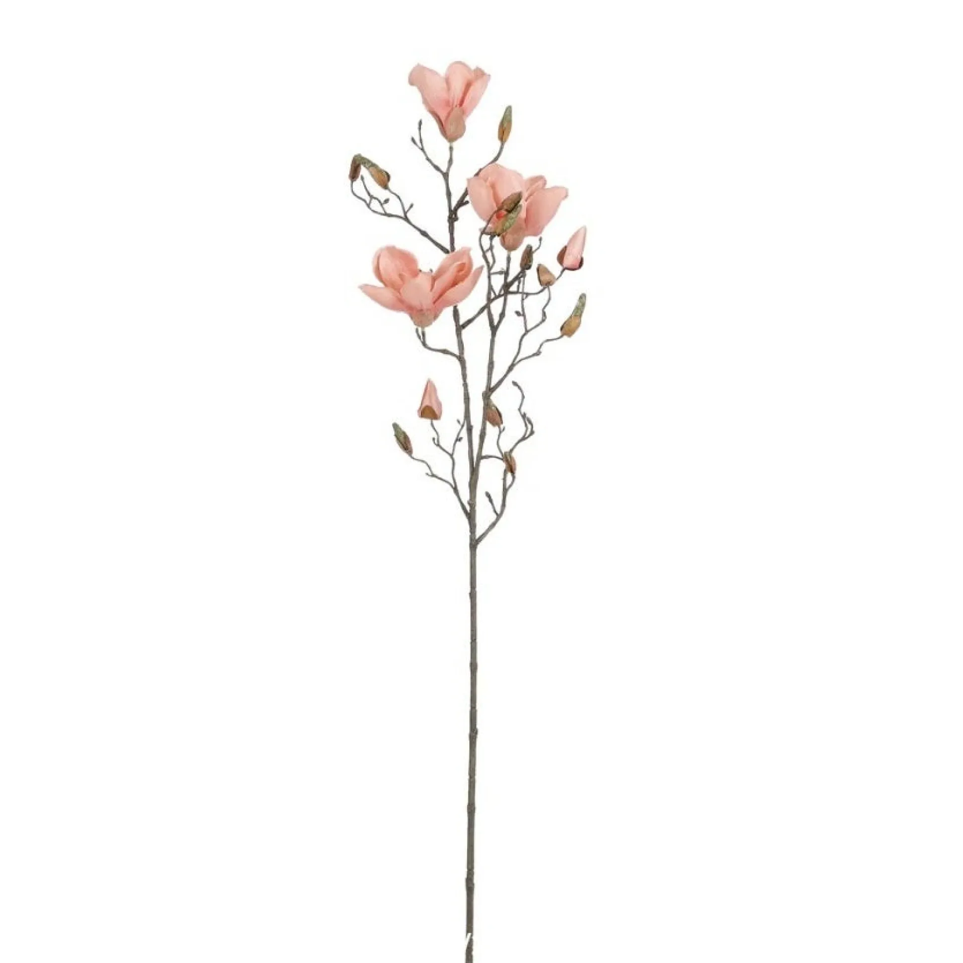 Tak Magnolia perzik 88 cm
