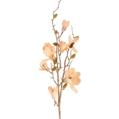 Tak Magnolia roze 82 cm
