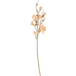 Tak Magnolia roze 82 cm