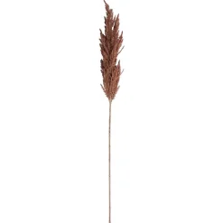 Tak pampasgras bruin 82 cm