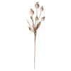Tak papaver 105 cm