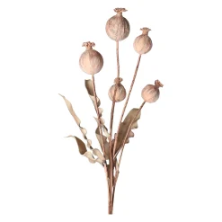 Tak papaver 105 cm