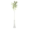 Tak Sofie 70 cm groen