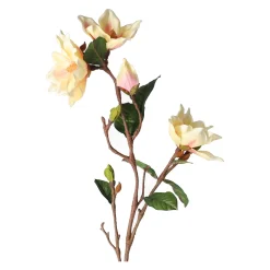 Tak Yulan 103 cm beige