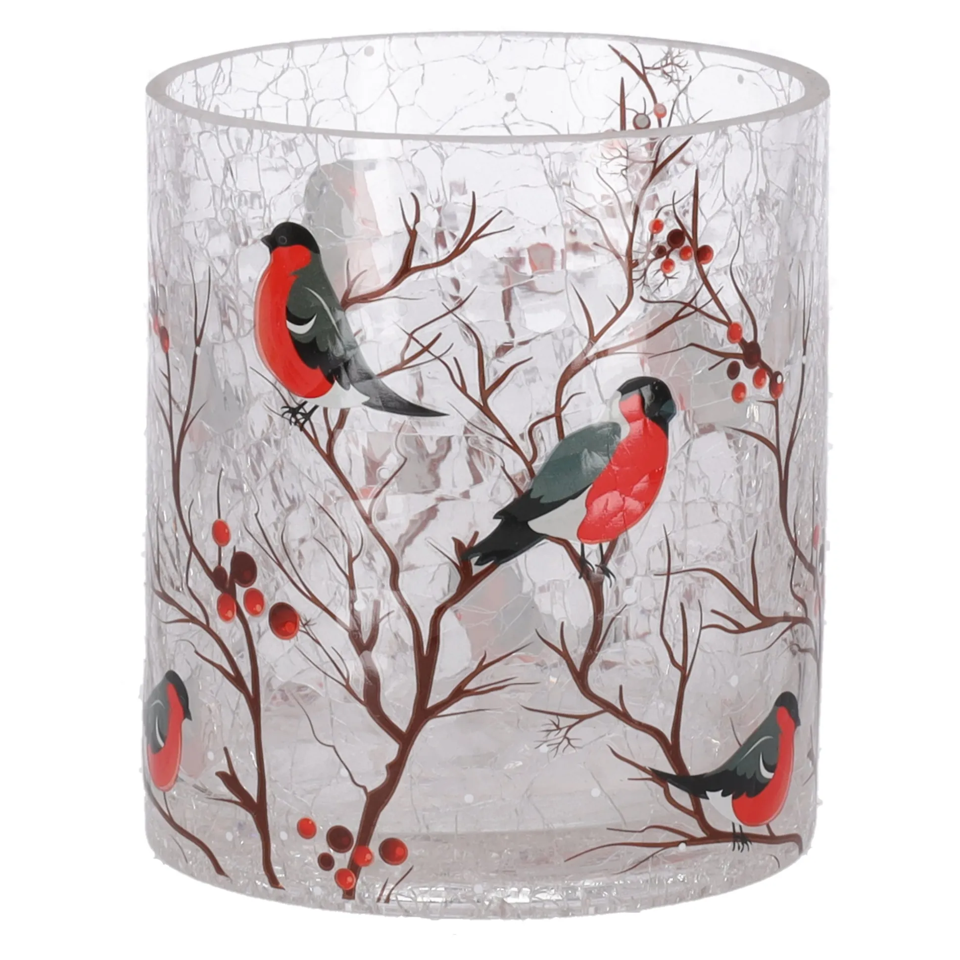 Theelichthouder glas vogels 9 x 9 x 10 cm