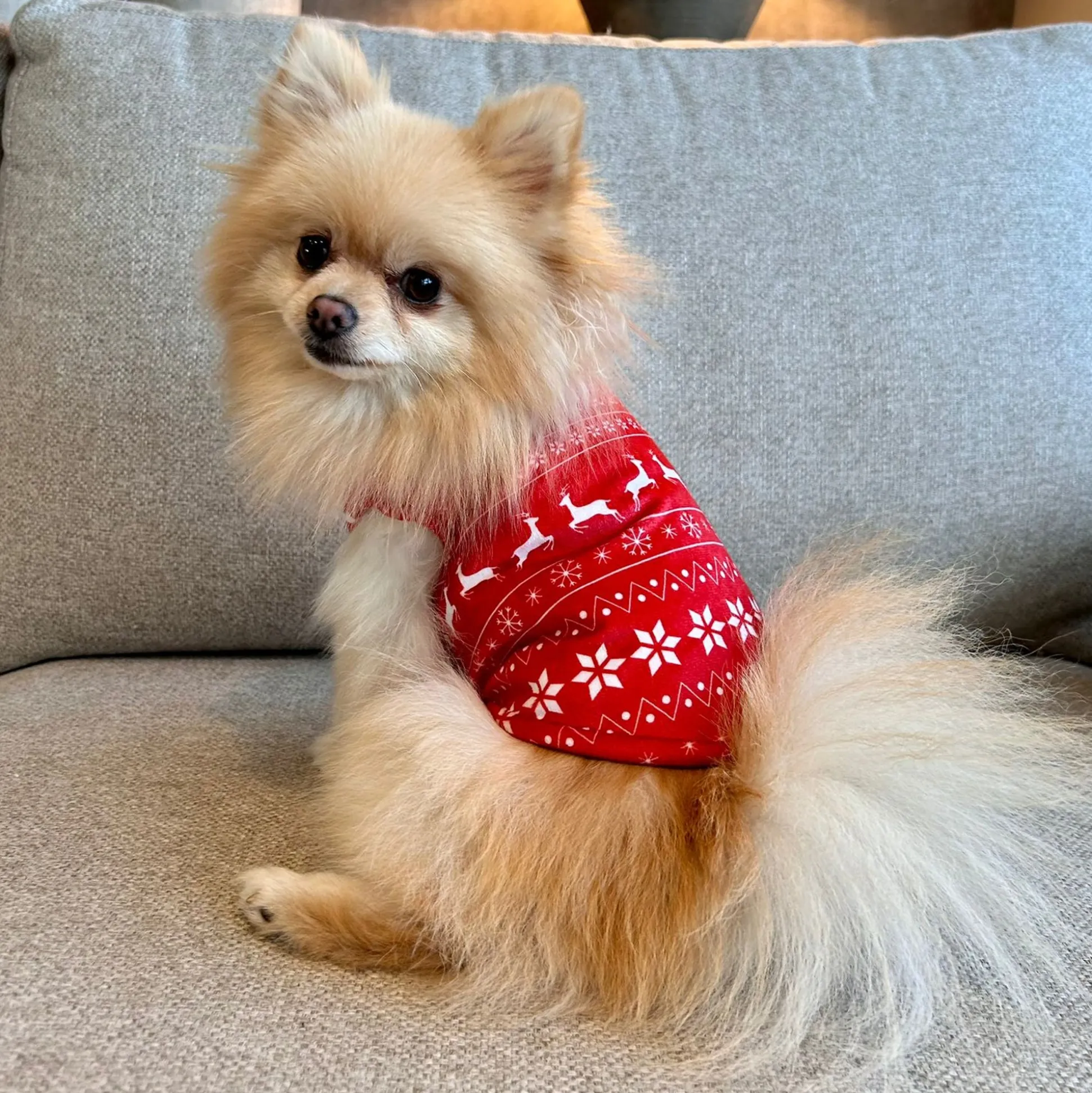 Trui hond kerst Nordic rood 20cm