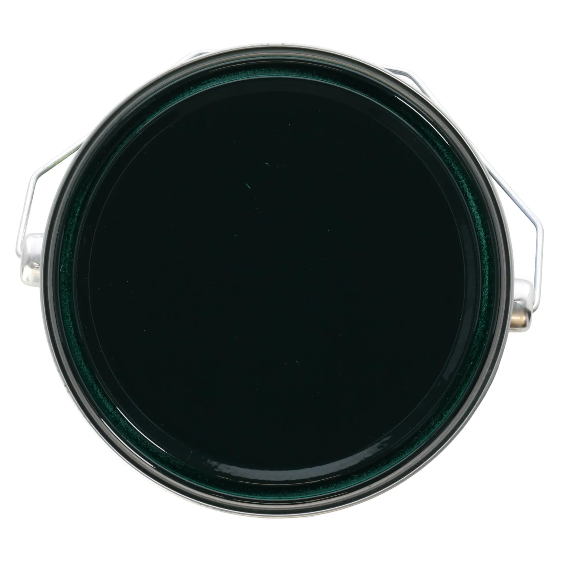 Tuinbeits DK d.groen 2501 2.5L Finess