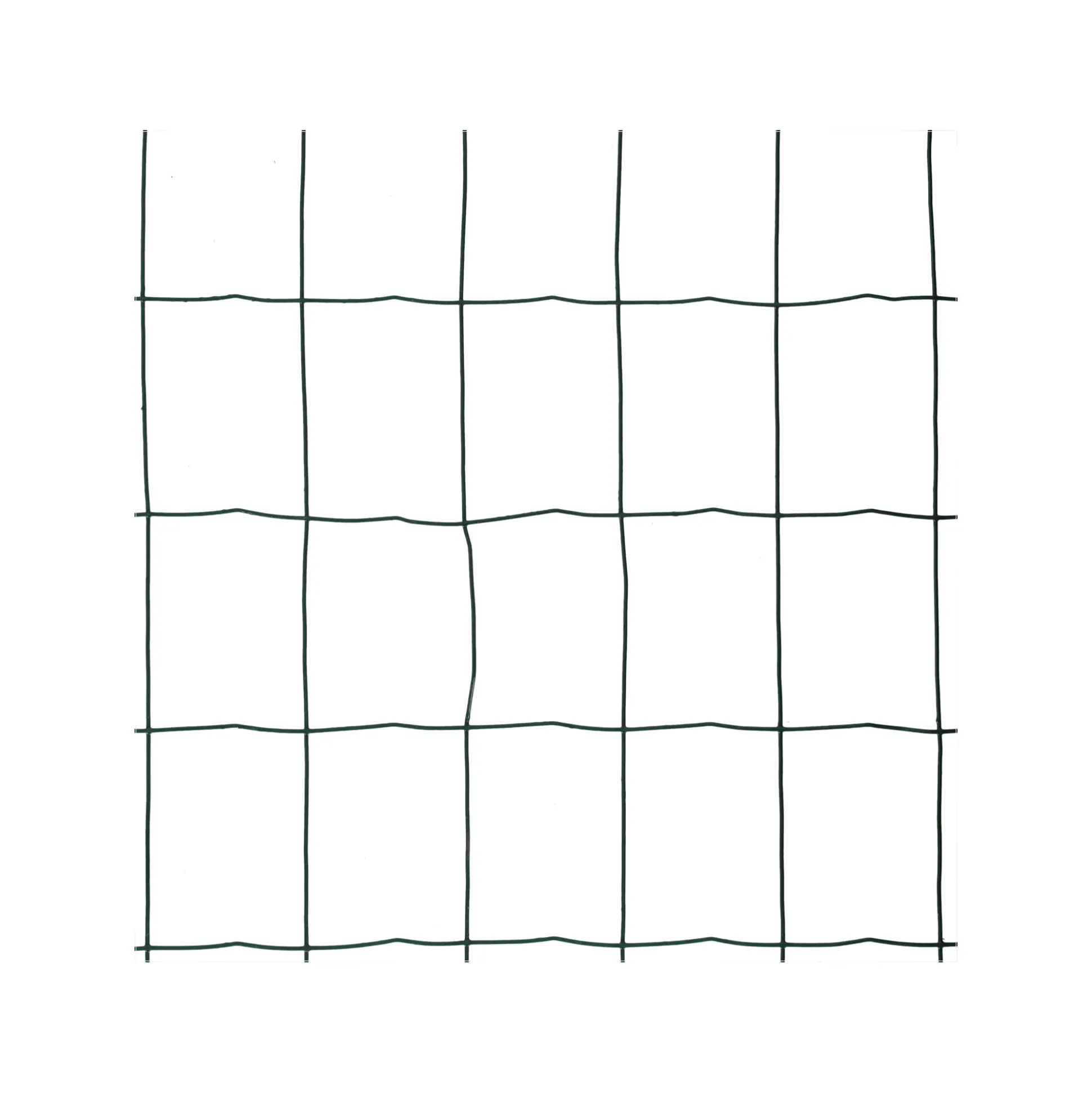 Tuingaas groen 100x76 H60 25M Bel Garden