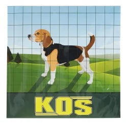 Tuingaas 100x75 H60 25M groen Kos
