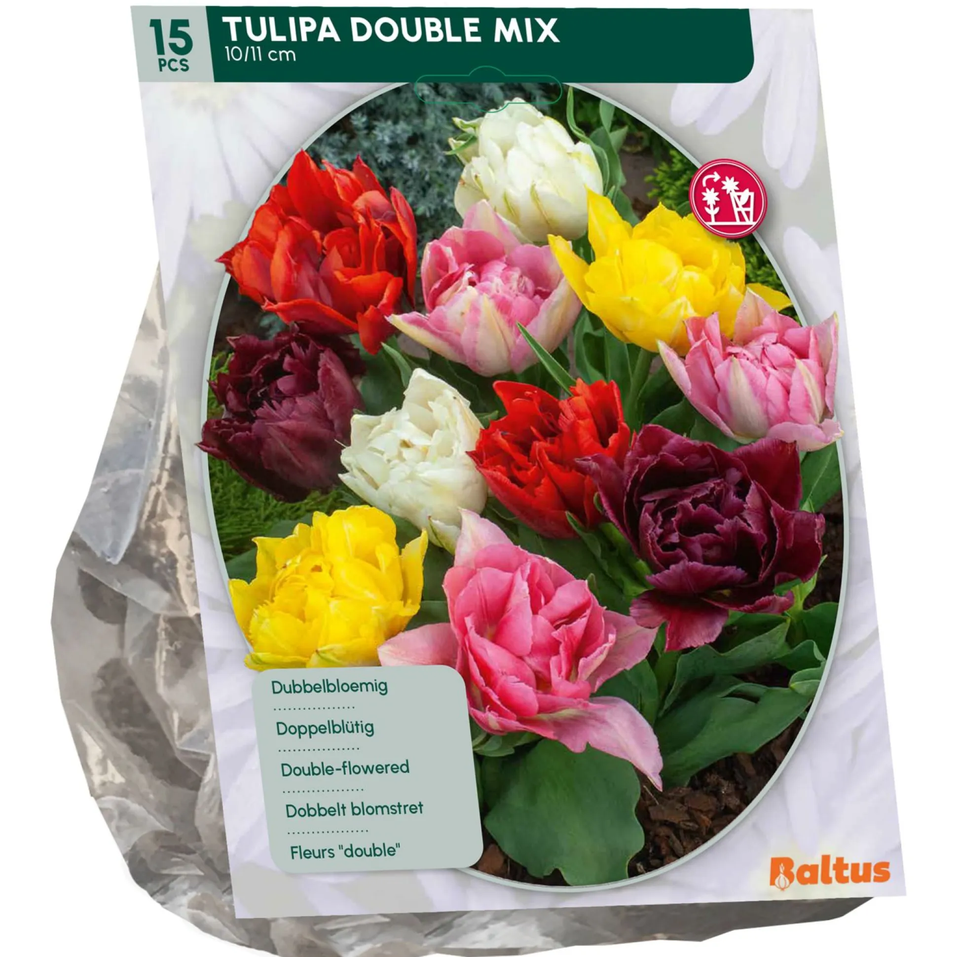Tulipa Dubbel Mix per 15
