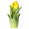 Tulp bosje geel 20 cm