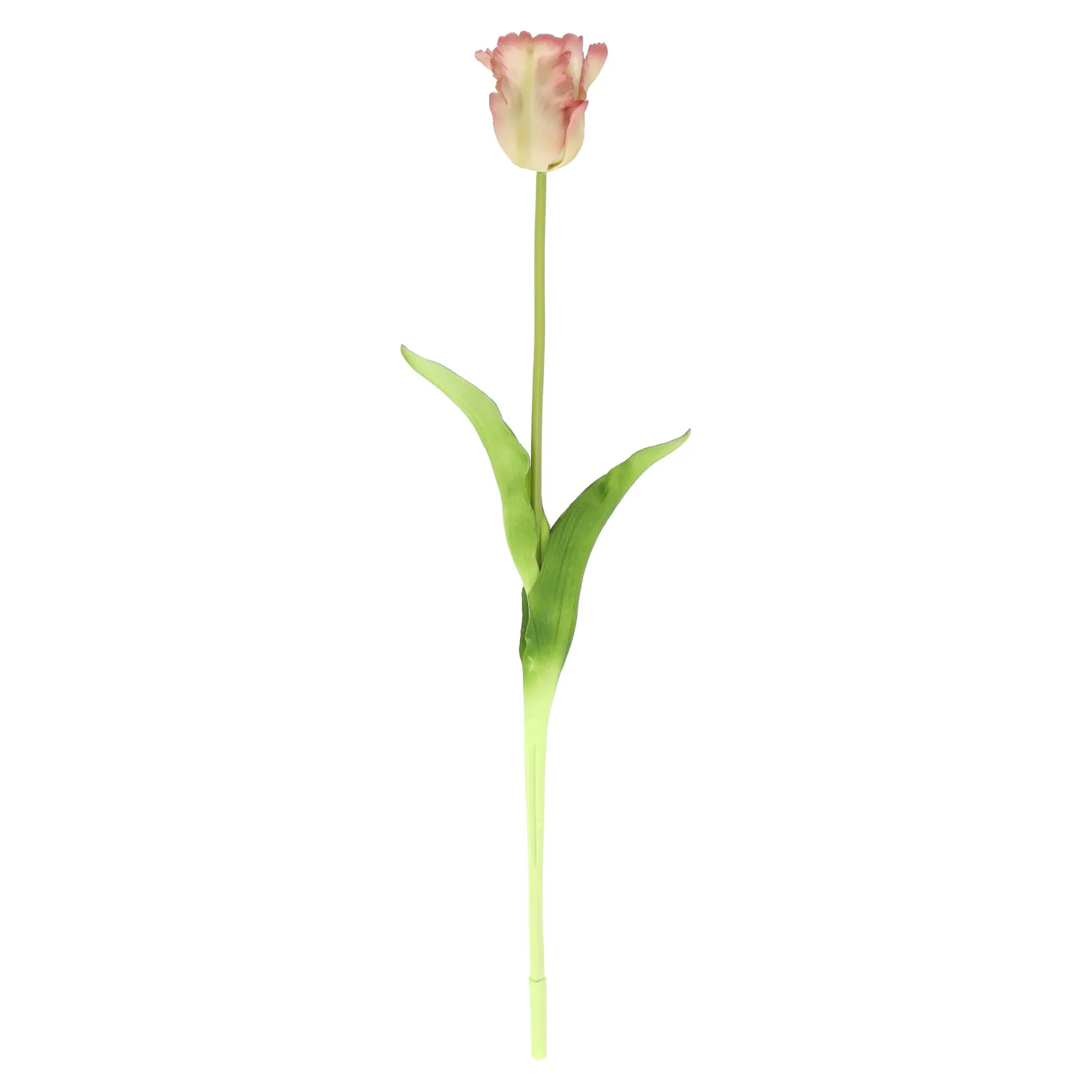 Tulp papegaai real touch 62 cm roze