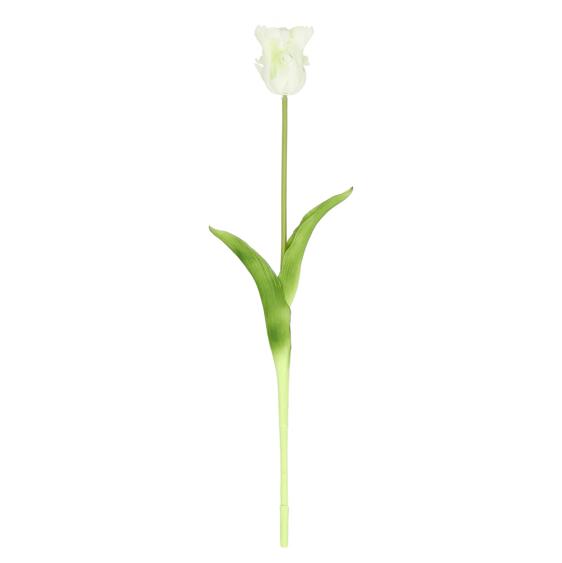 Tulp papegaai real touch 62 cm wit