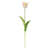 Tulp papegaai real touch 62 cm licht roze
