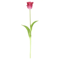 Tulp papegaai real touch 62 cm fuchsia