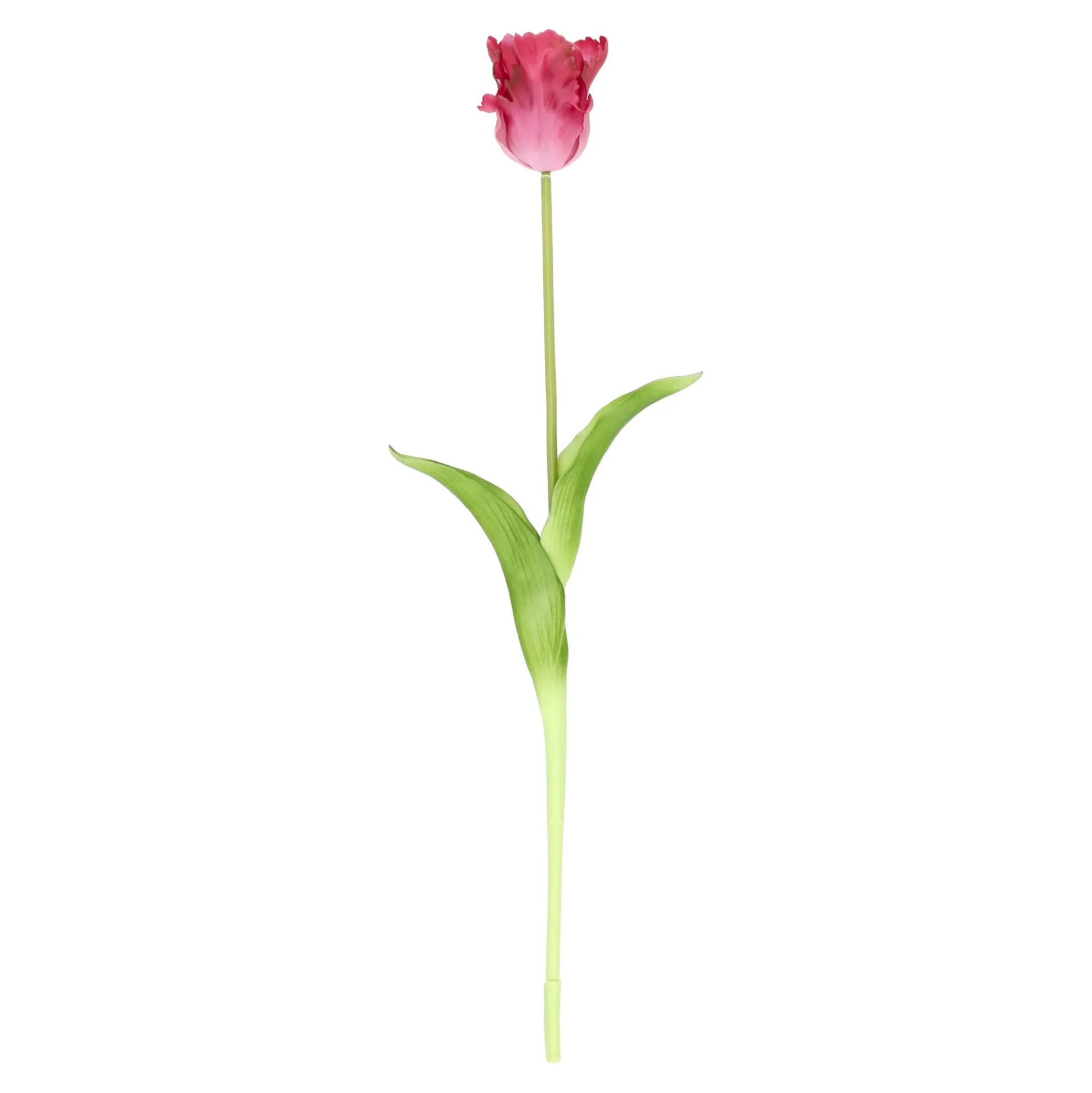 Tulp papegaai real touch 62 cm fuchsia