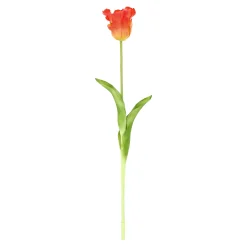 Tulp papegaai real touch 62 cm oranje