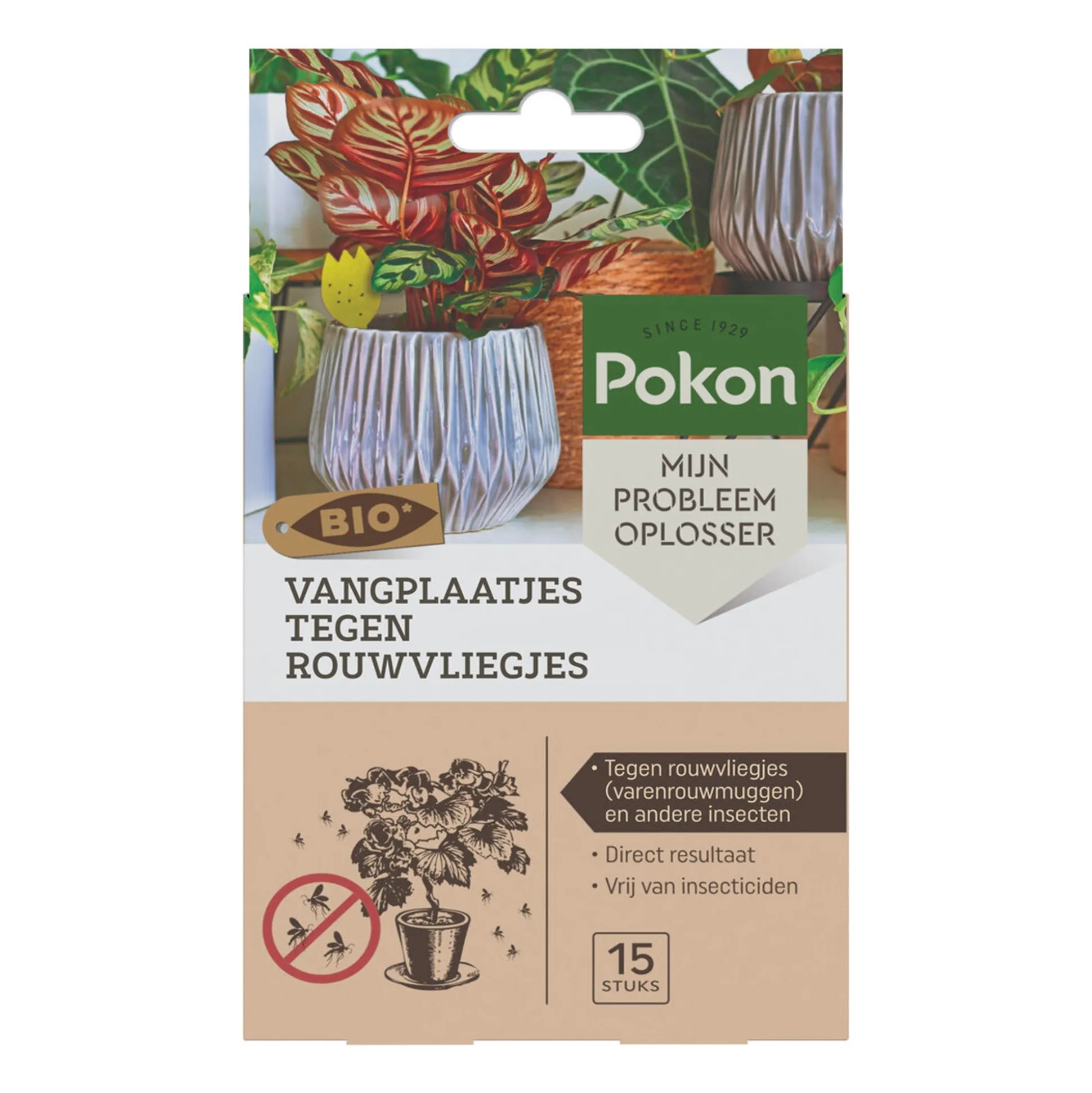 Vangplaatjes rouwvliegjes Pokon