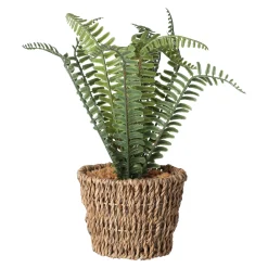 Varen in mand groen 26 x 10 cm