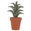 Vetplant in pot, 4 assorti