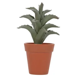 Vetplant in pot, 4 assorti
