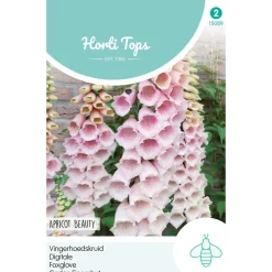 Vingerhoedskruid Apricot Beauty