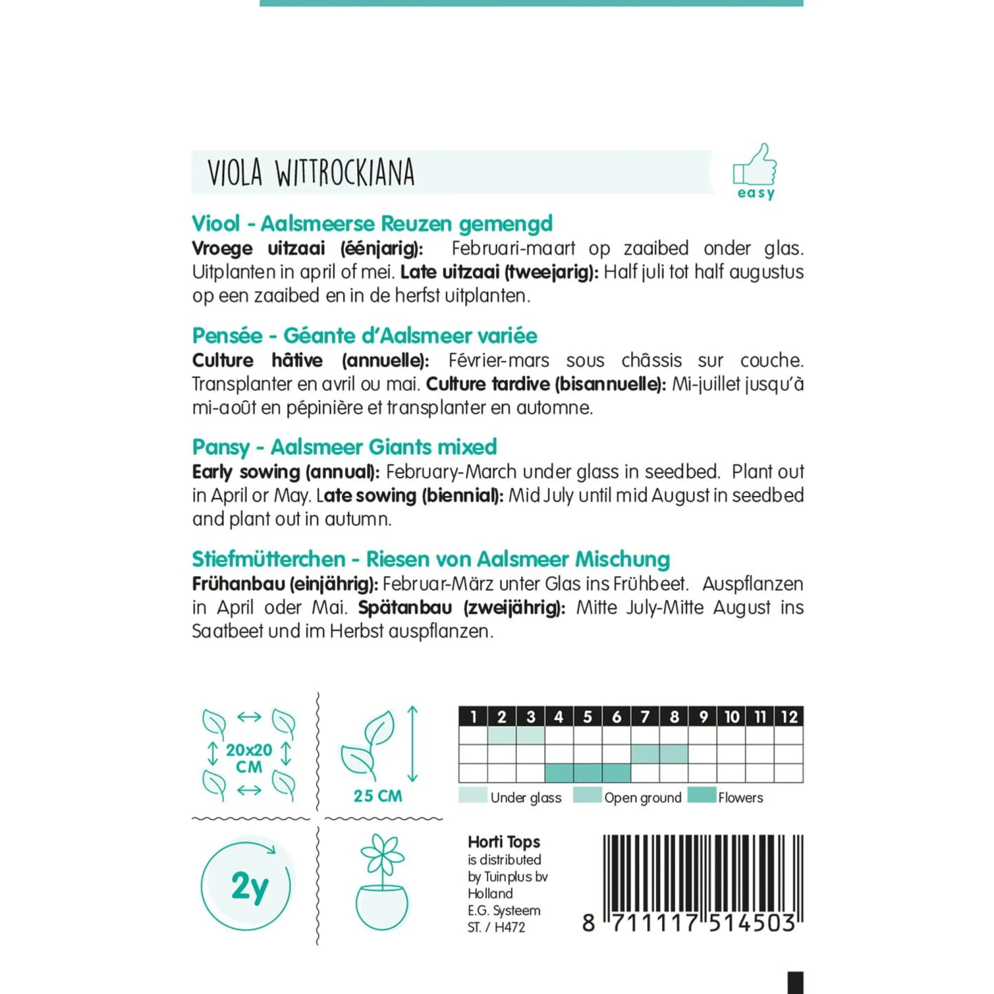 Viooltjes Aalsmeerse Reuzen