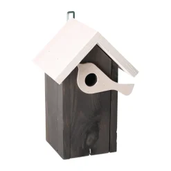 Vogelhuis sijs antra