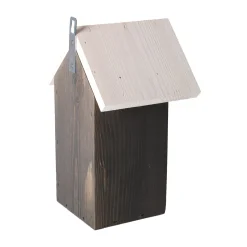 Vogelhuis sijs antra