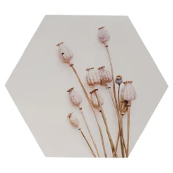 Wanddecoratie papaver 38 x 38 cm