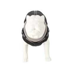 Winterjas hond Duker zwart 30cm Friendly Pet