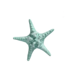 Zeester 19 cm blauw, 2 assorti