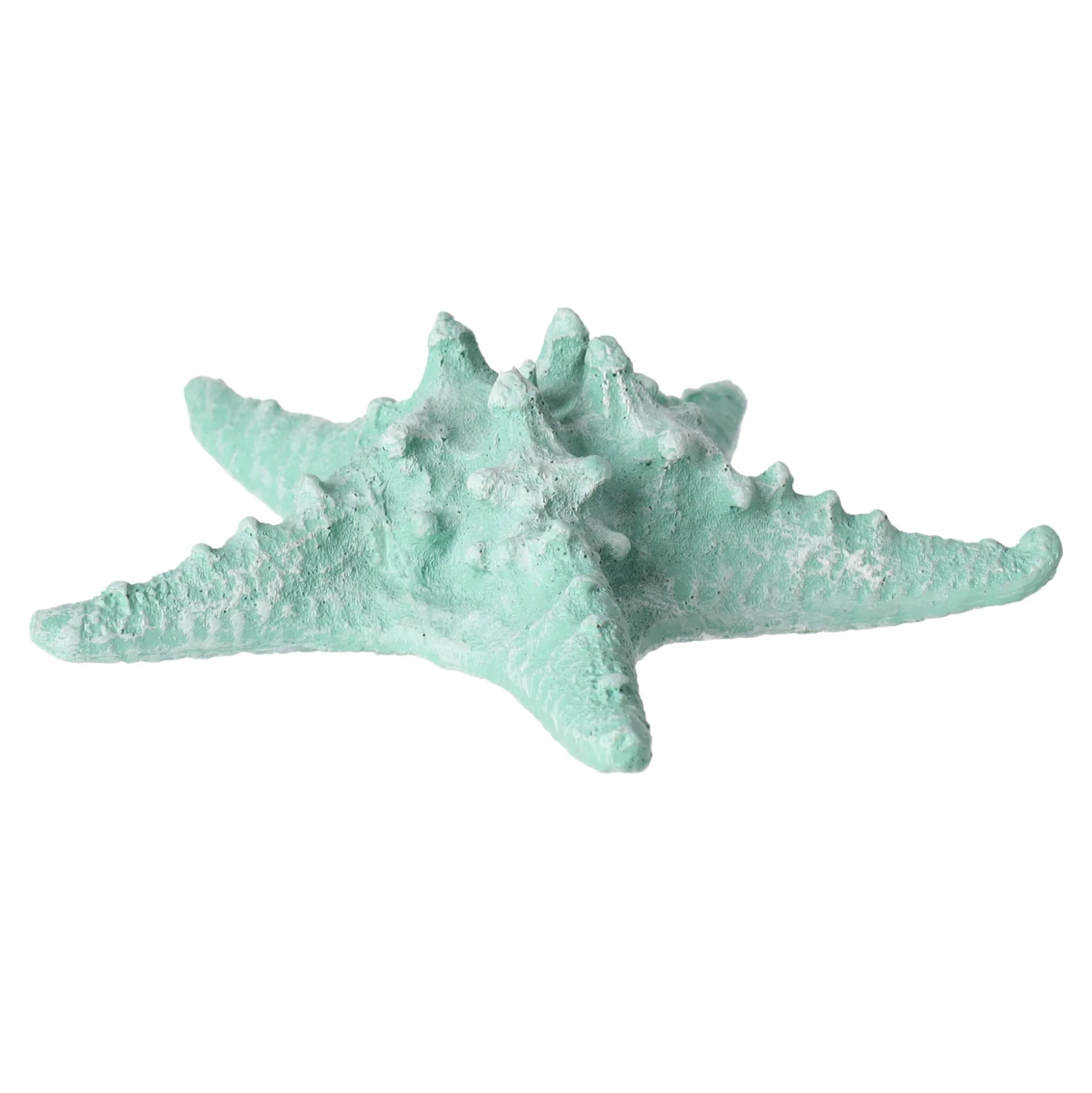 Zeester 19 cm blauw, 2 assorti
