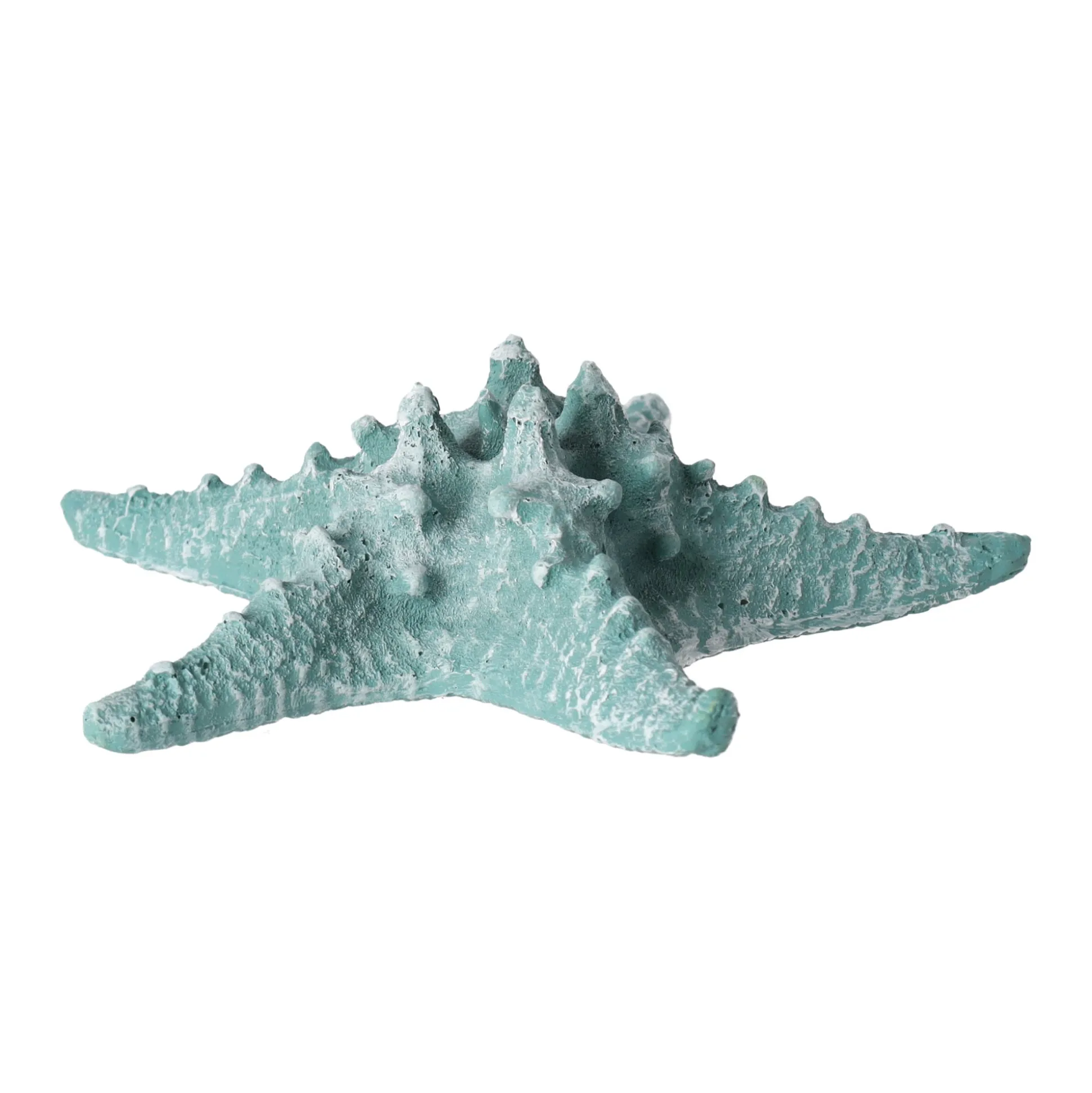 Zeester 19 cm blauw, 2 assorti