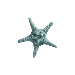 Zeester 19 cm blauw, 2 assorti