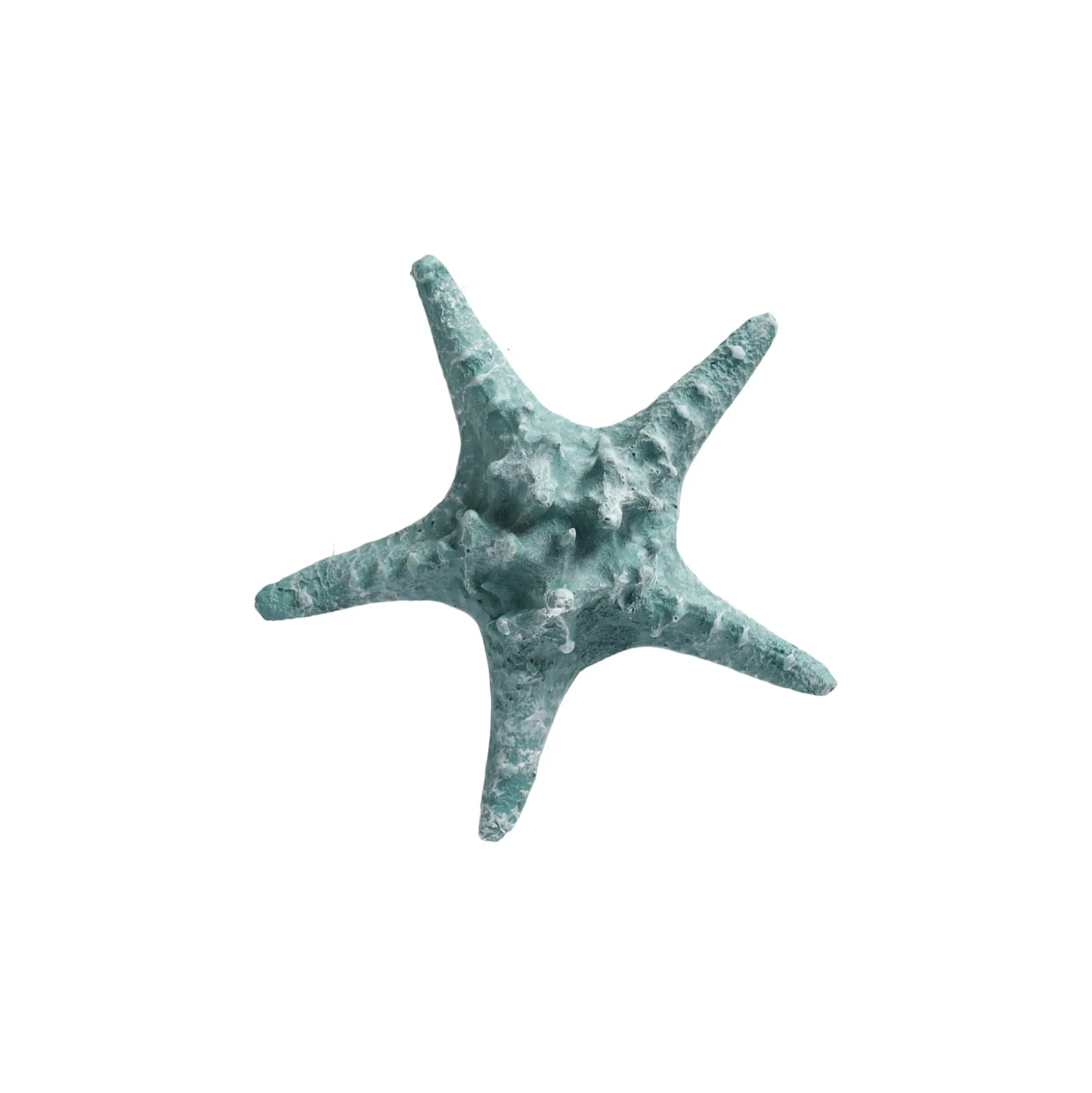 Zeester 19 cm blauw, 2 assorti