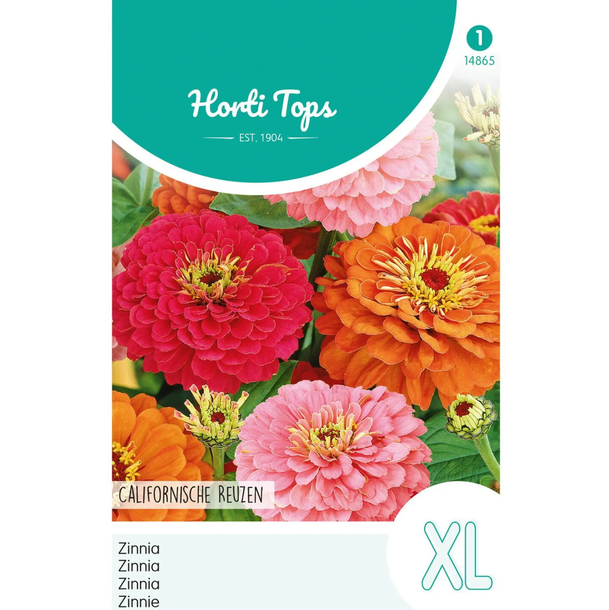 Zinnia Californische reuzen mix