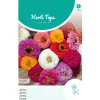 Zinnia Liliput mix