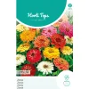 Zinnia Thumbelina laag mix