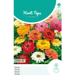Zinnia Thumbelina laag mix