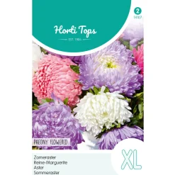Zomeraster Pioenbloemig Mix