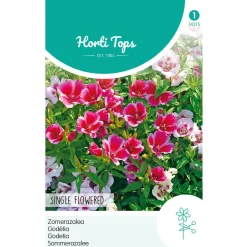 Zomerazalea Enkelbloemig Mix
